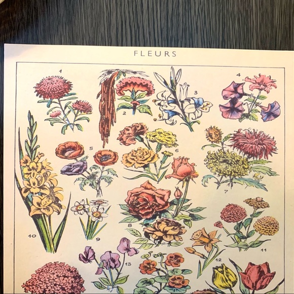 Vintage French 1909 Fleurs 1 of 2 Floral Print - Picture 2 of 3
